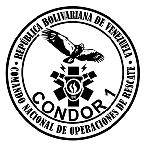 CONDOR 1